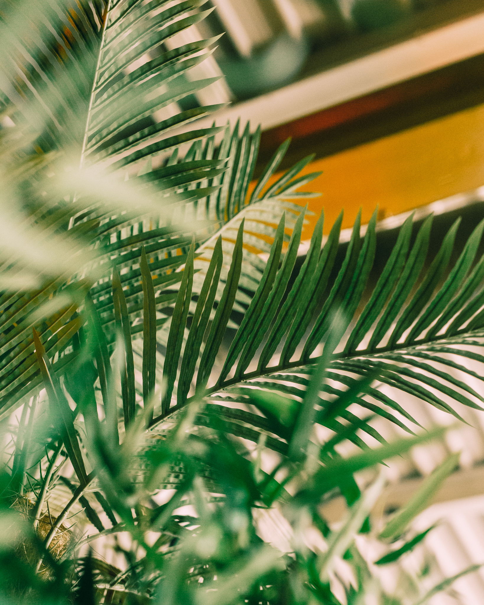 Levensechte kunstplanten gebruikt als decoratie op diverse evenementen, die zorgen voor een stijlvolle en onderhoudsvrije groene sfeer.