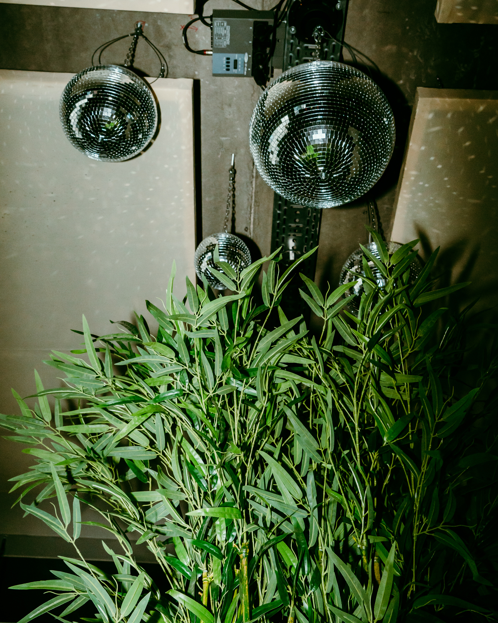 Levensechte kunstplanten gebruikt als decoratie op diverse evenementen, die zorgen voor een stijlvolle en onderhoudsvrije groene sfeer.