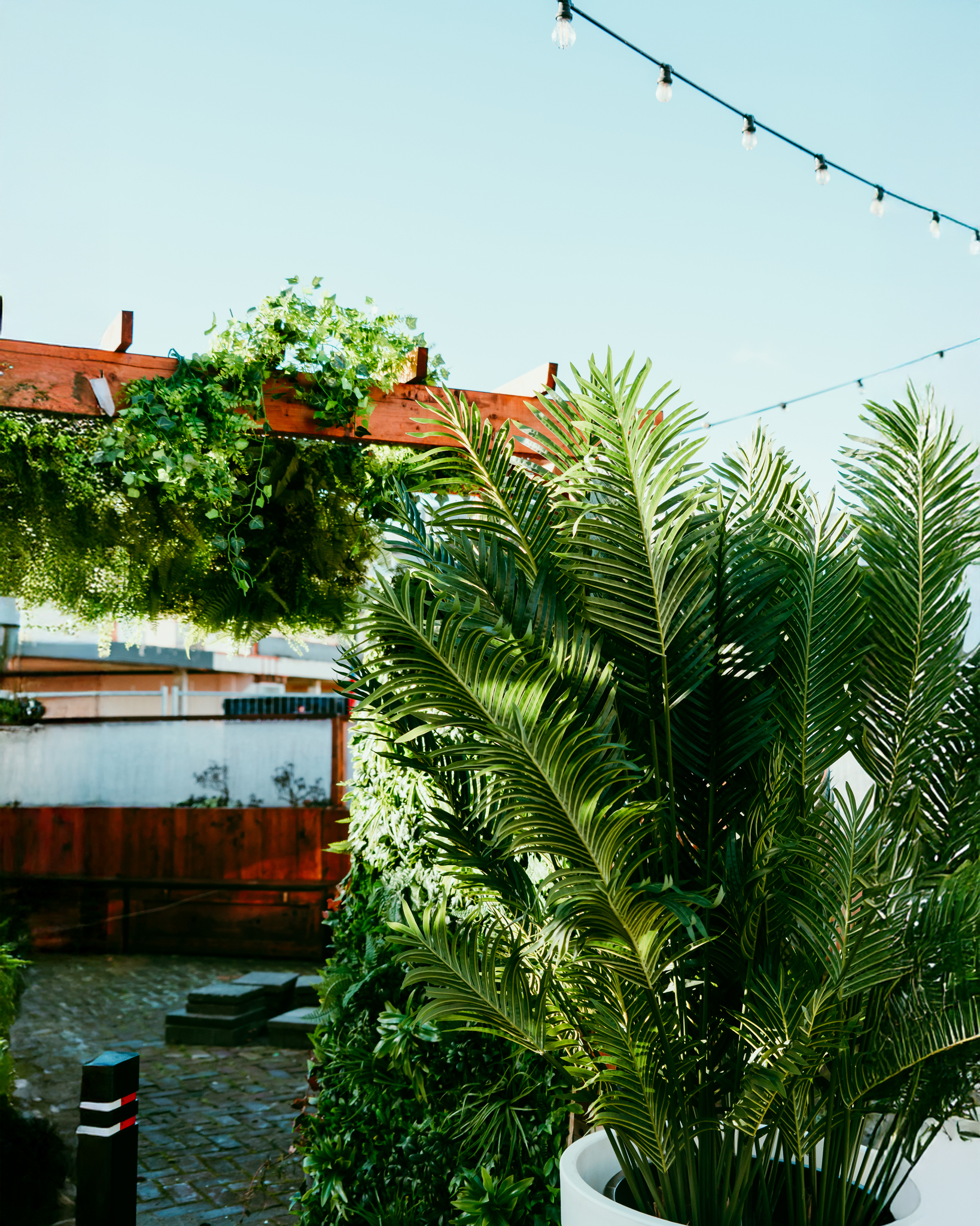 Levensechte kunstplanten gebruikt als decoratie op diverse evenementen, die zorgen voor een stijlvolle en onderhoudsvrije groene sfeer.