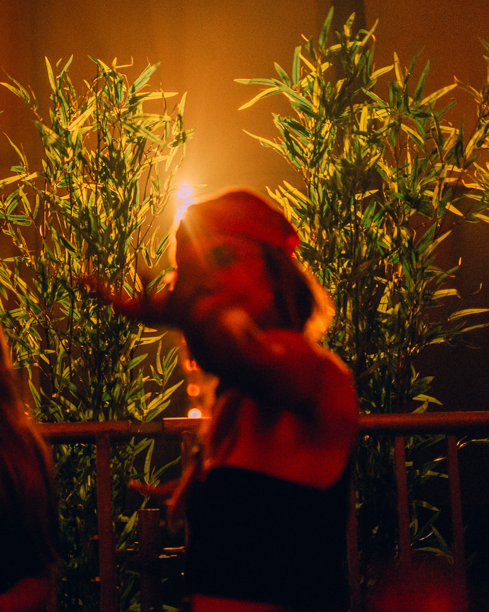 Levensechte kunstplanten gebruikt als decoratie op diverse evenementen, die zorgen voor een stijlvolle en onderhoudsvrije groene sfeer.
