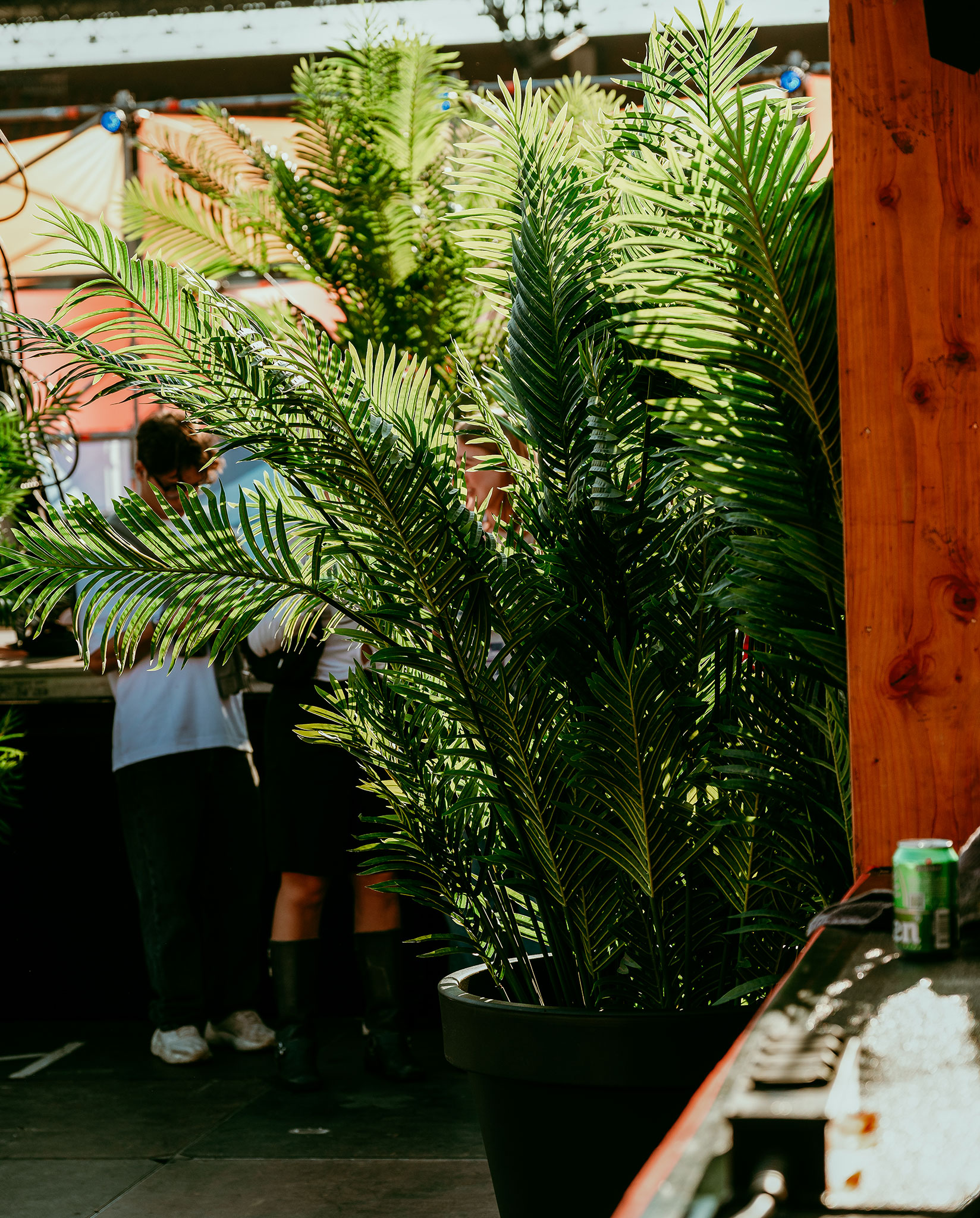 Levensechte kunstplanten gebruikt als decoratie op diverse evenementen, die zorgen voor een stijlvolle en onderhoudsvrije groene sfeer.