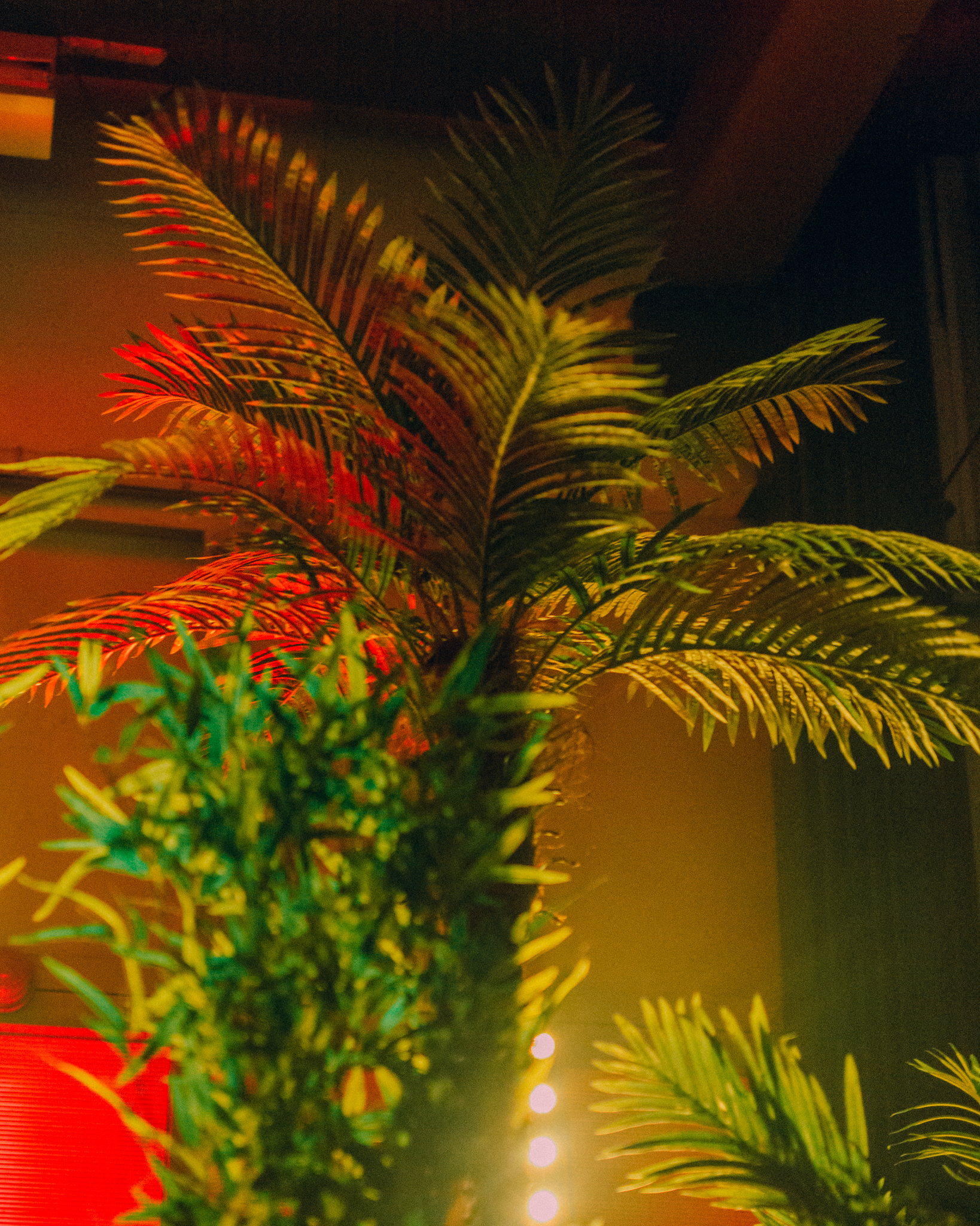 Levensechte kunstplanten gebruikt als decoratie op diverse evenementen, die zorgen voor een stijlvolle en onderhoudsvrije groene sfeer.